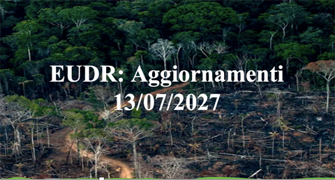 EUDR Aggiornamenti(2)